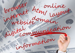 体育赛事品牌建设中的用户参与机制，体育赛事品牌打造