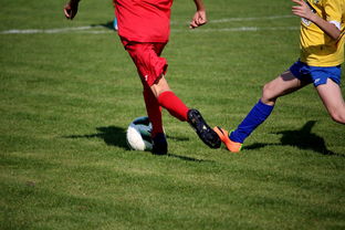 拳击国家队备战亚运 实施精英训练计划，拳击亚军奖杯照片