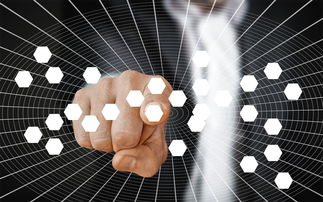 智能体育教学平台功能需求分析，智能体育运动平台